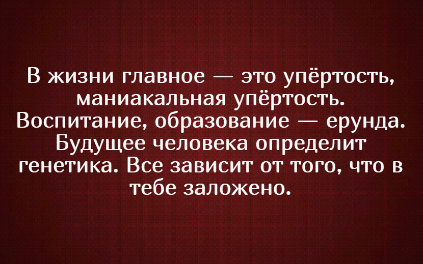 Дзен бестолковые. Высказывания Ширвиндта. Высказывания Михаила Ширвиндта.