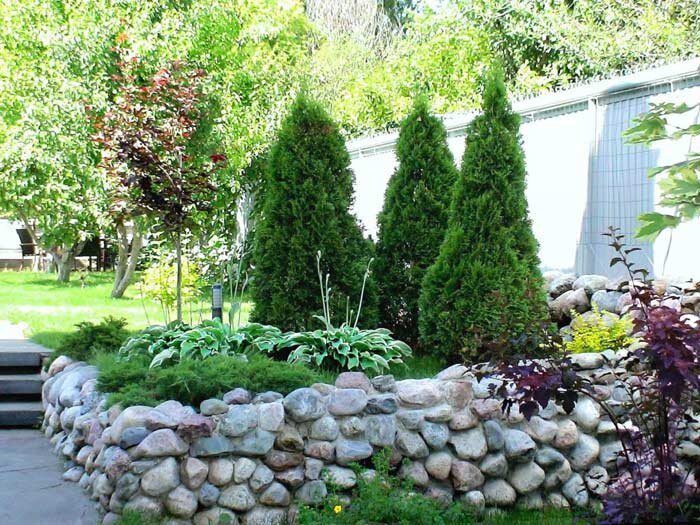  Фото из Яндекс картинки.