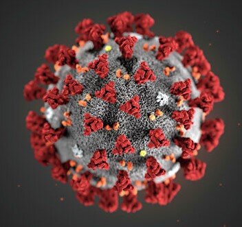 Короновирус во плоти