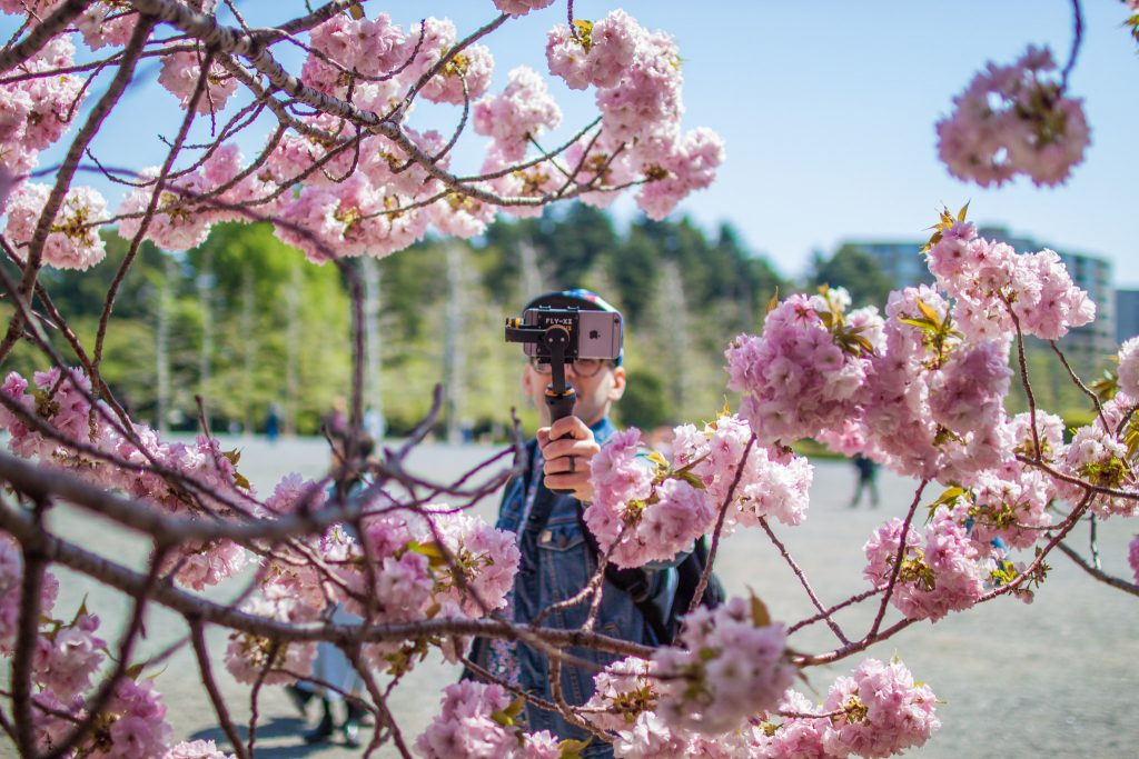 А ещё цветение сакуры - отличный повод сделать кучу снимков