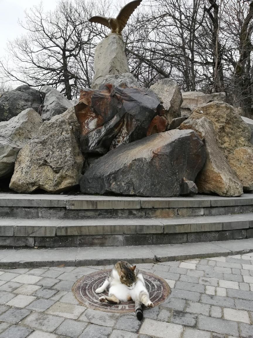 Фото Насти Кр.  Курортный котик.