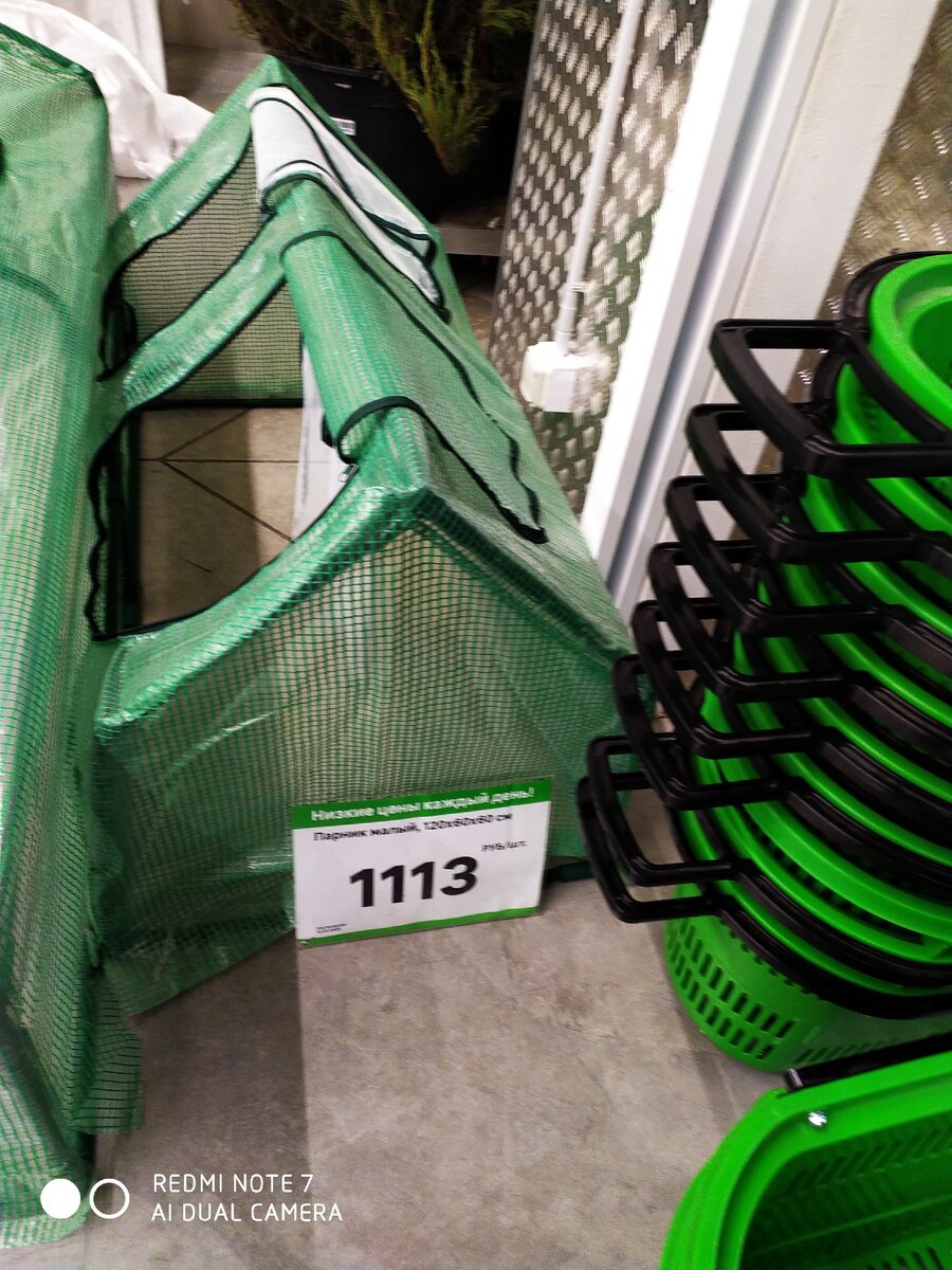 все фото из личного архива