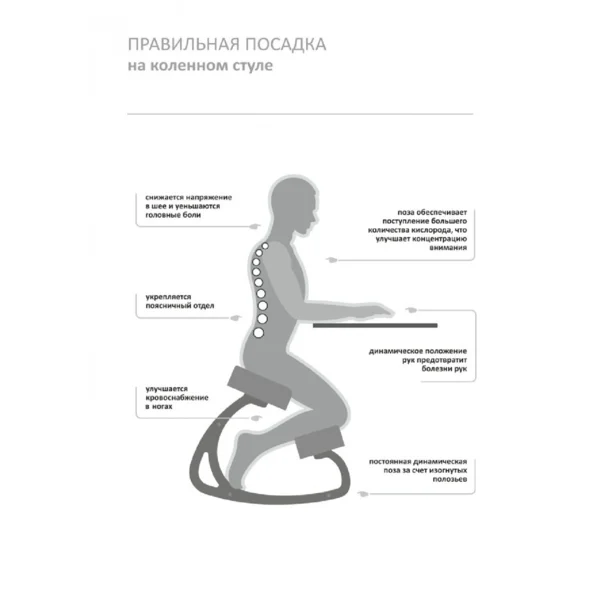 Правильная поза на стуле