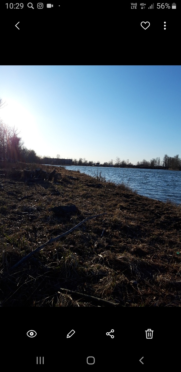 Солнечный день!