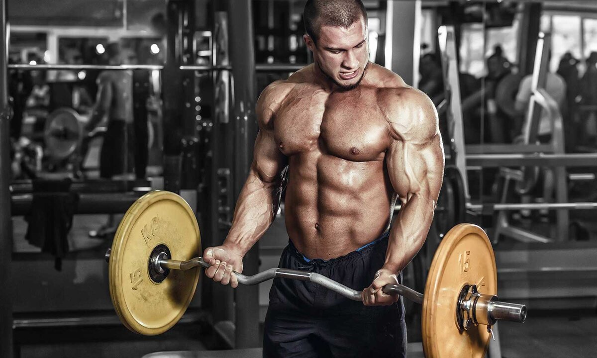 Источник: https://yworkout.ru/sgibanie-ruk-na-biceps-so-shtangoj-stoya.html