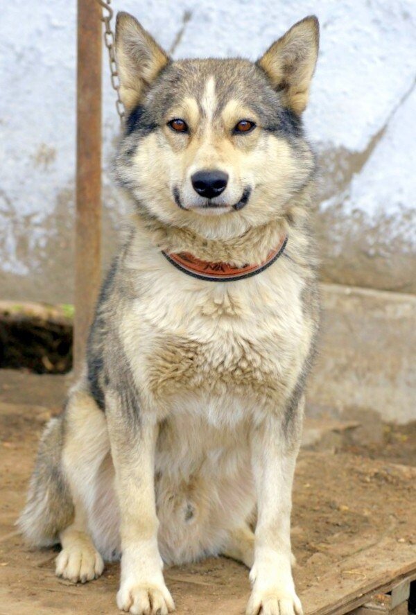 Фото из интернета