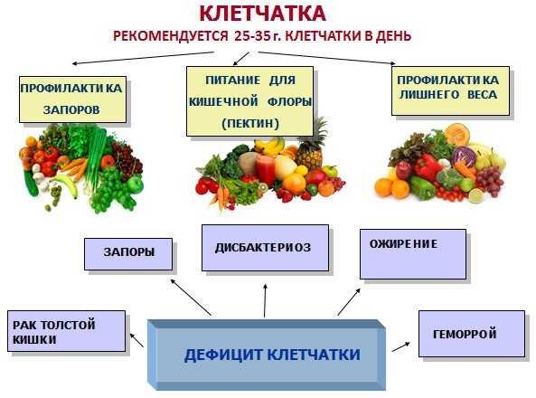 Продукты содержащие клетчатку