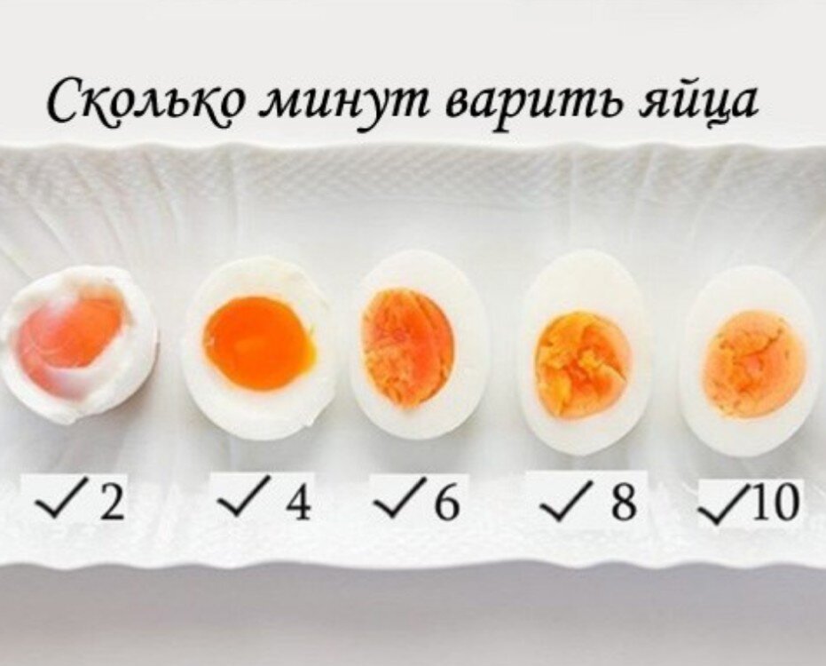 лучший пример белков-яйца,мясо птицы