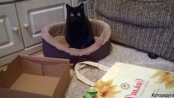  Источник: vk.com