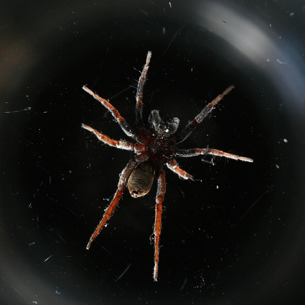 StevenBrace/https://www.flickr.com