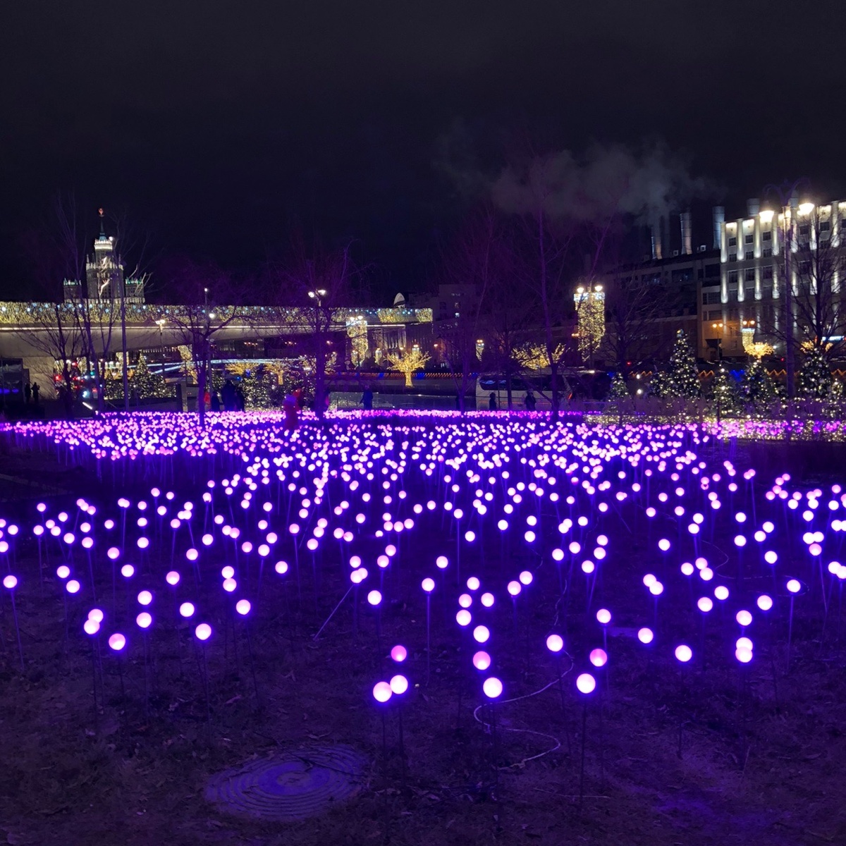 Москва, 2020