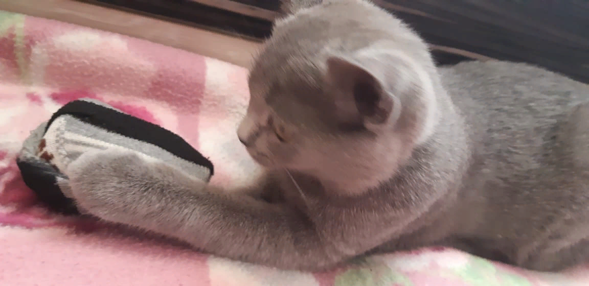 Фото из личного архива