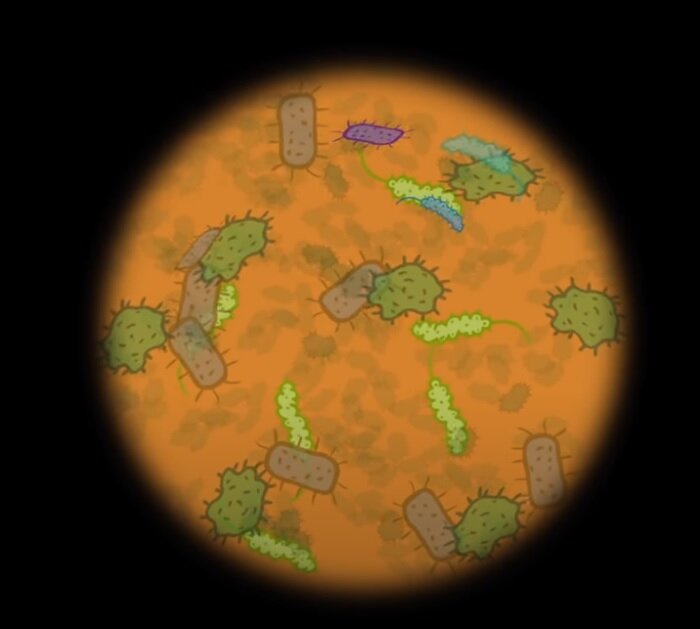 Микробы. Скрин из мультика про микробы