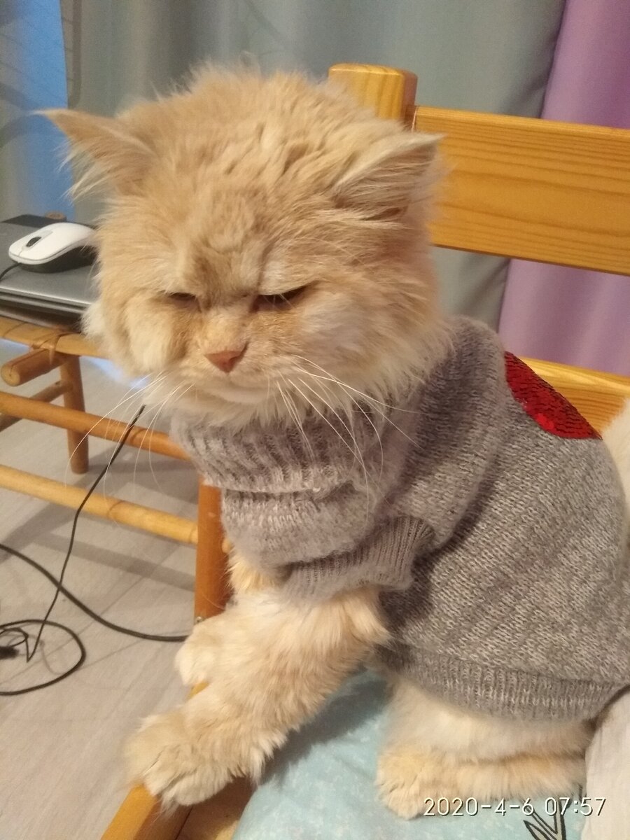 Персей Мурзикович тоже недоволен. 