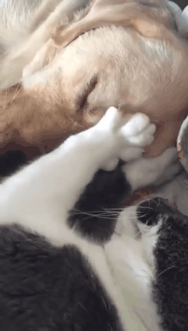 Нажми на картинку, чтобы посмотреть видео. Источник: Ютуб.