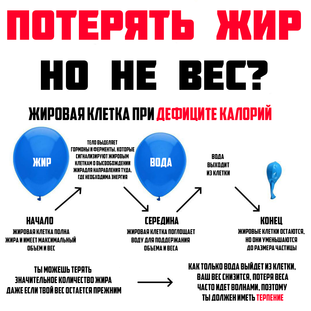 Изображение взято из официального инстаграма @fittips.prime 