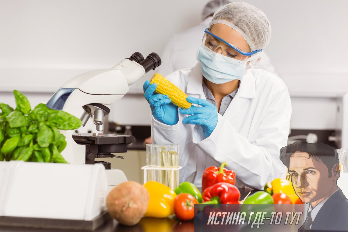 Если долго смотреть на кукурузу, то кукуруза посмотрит на тебя.