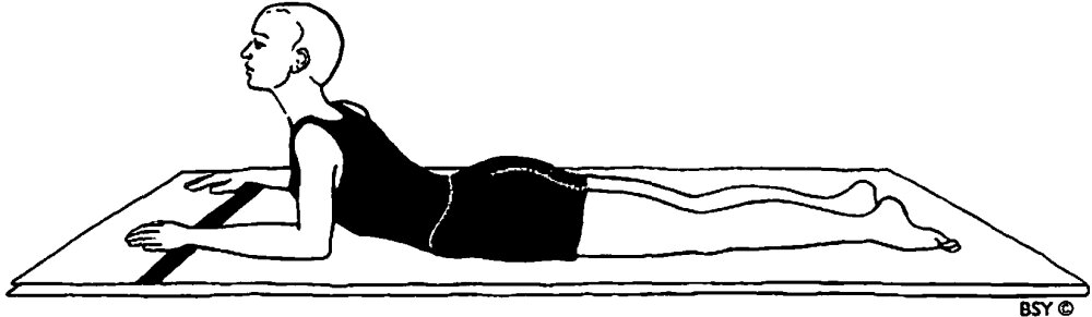 Тренировка мышц тазового дна. Не забываем тренировать мышцы упражнениями укрепляющими эту мышечную группу.