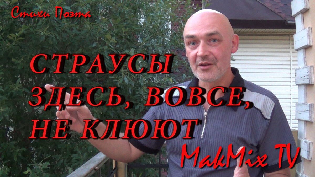 Фото Стихи Поэта