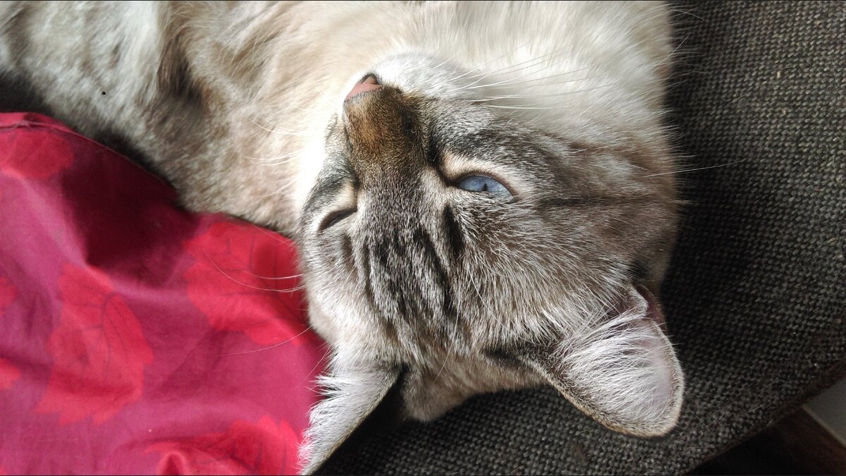 Так выглядит утомлённый пилот