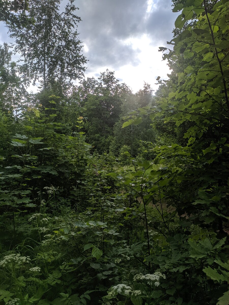 (нажмите на стрелку вправо чтобы увидеть больше фотографии)