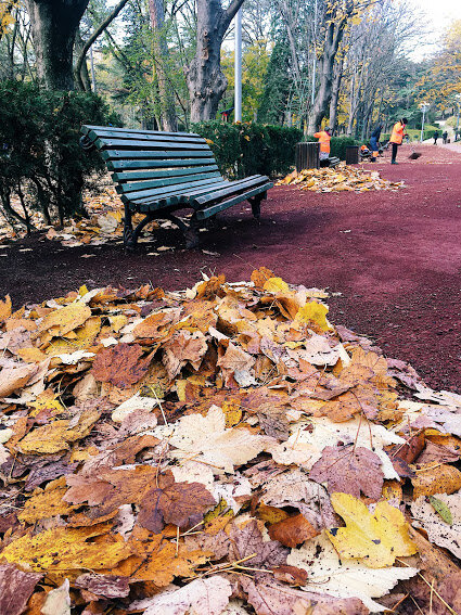Осенний парк Ваке