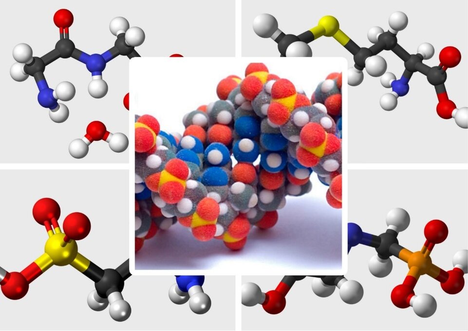 фото из Яндекс.картинки