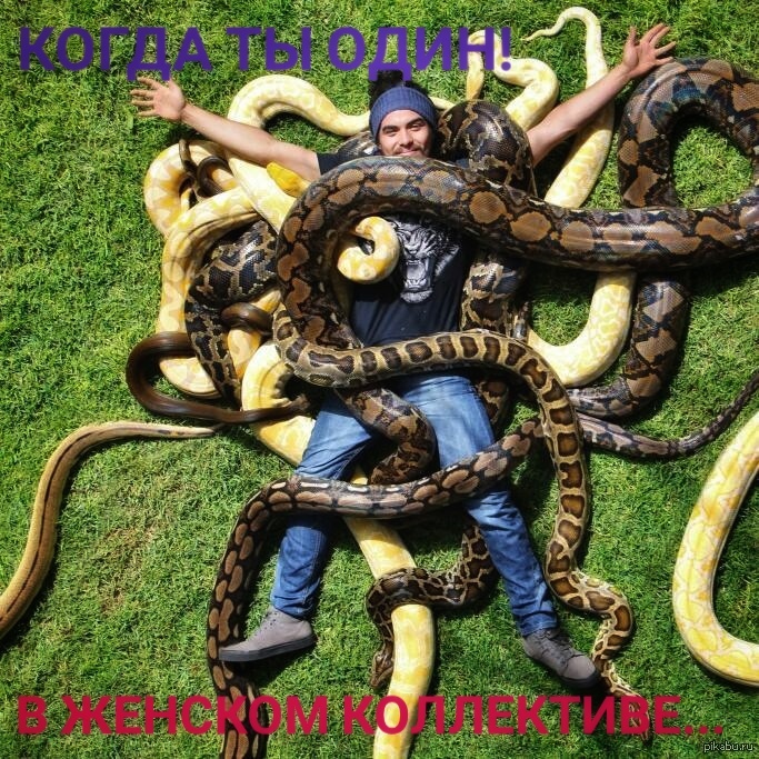 Главное сохранять спокойствие