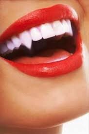 Яндекс Картинки