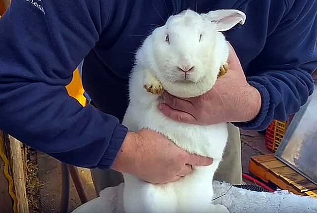 Медикаментозное лечение