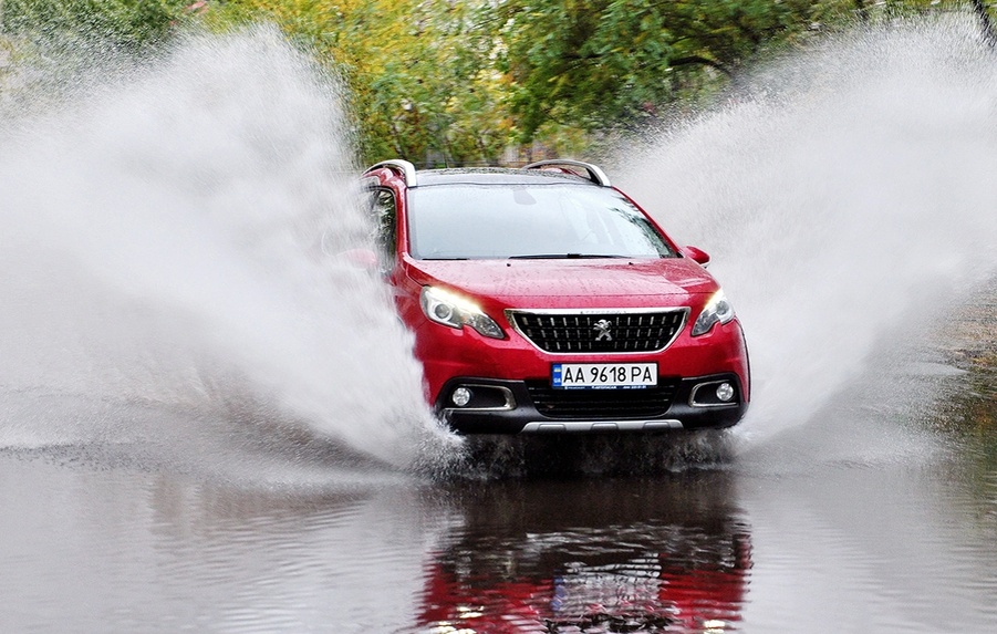 Фото из интернета 