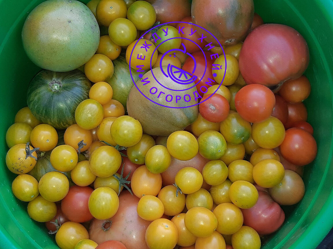 Не забудьте поставить лайк и подписаться на канал!