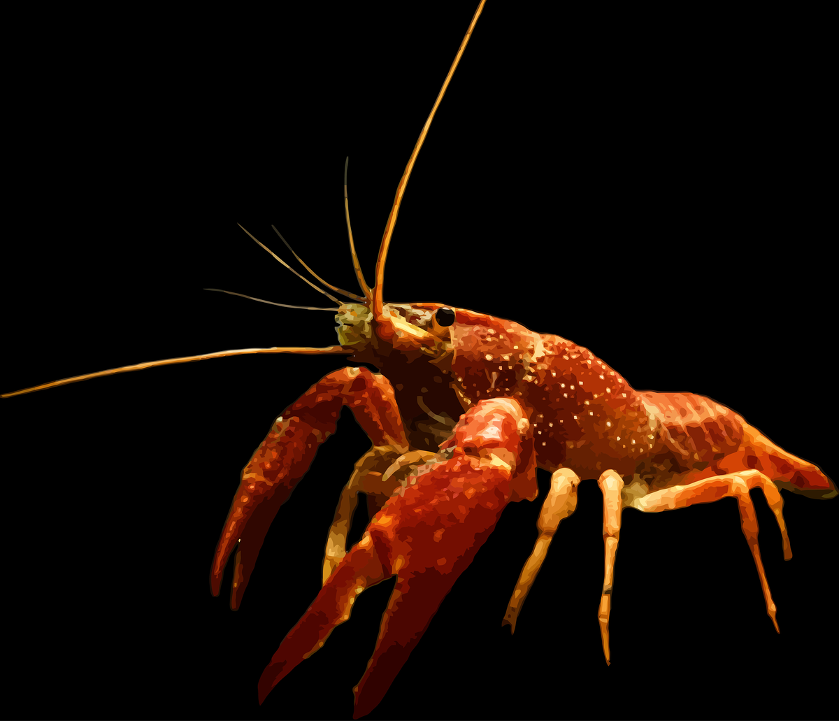 Загружено pixabay.com