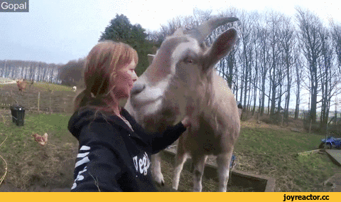 Фото: Otvet.mail.ru