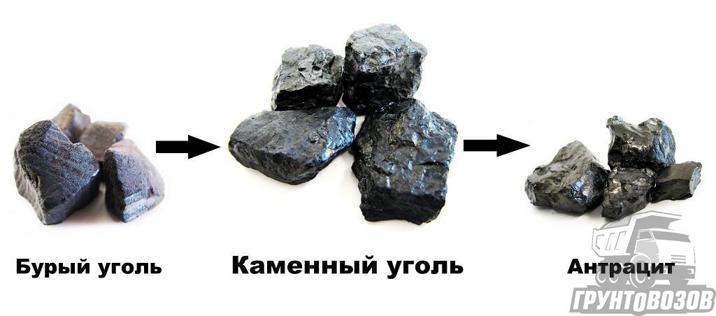 Каменный уголь занимает промежуточное положение между бурым и антрацитом