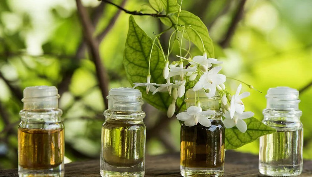 Фото взято из открытого источника.