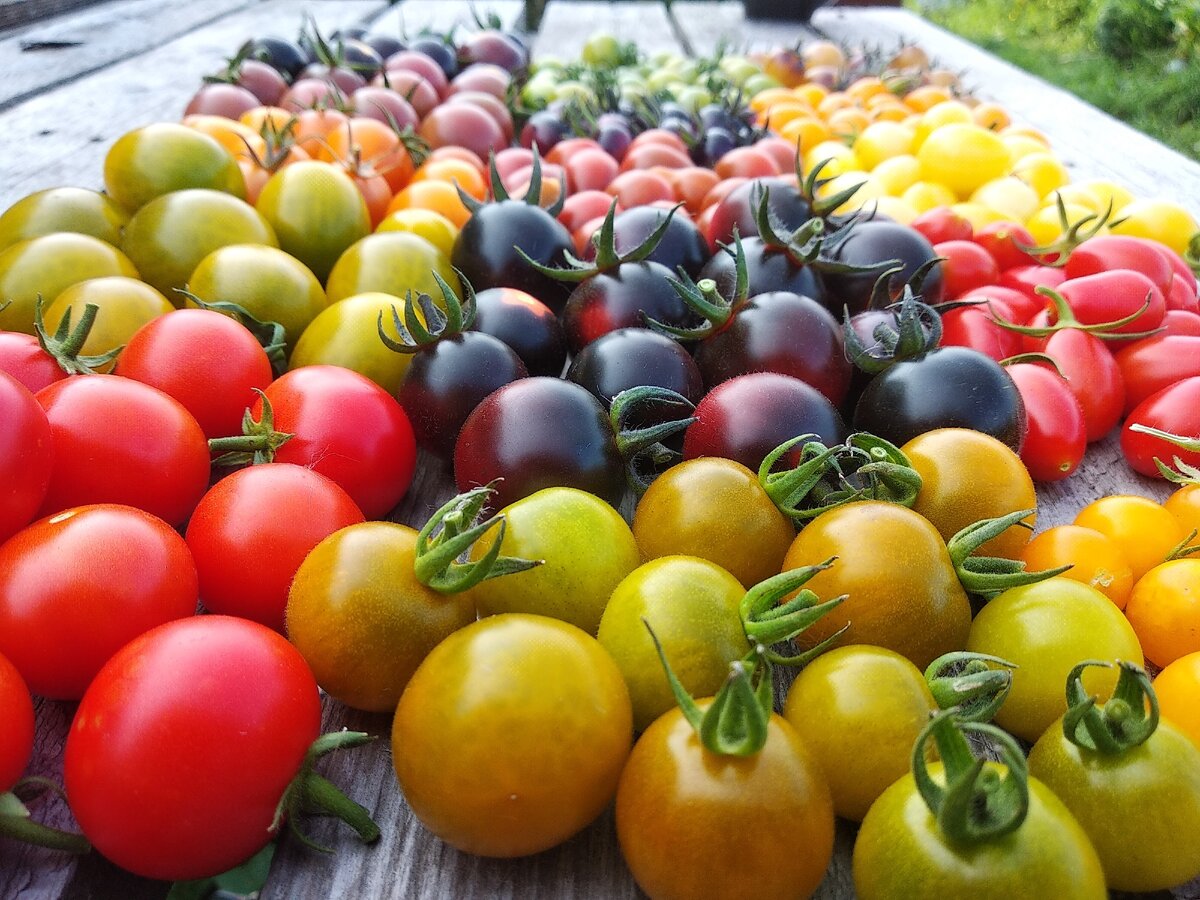 Личное фото