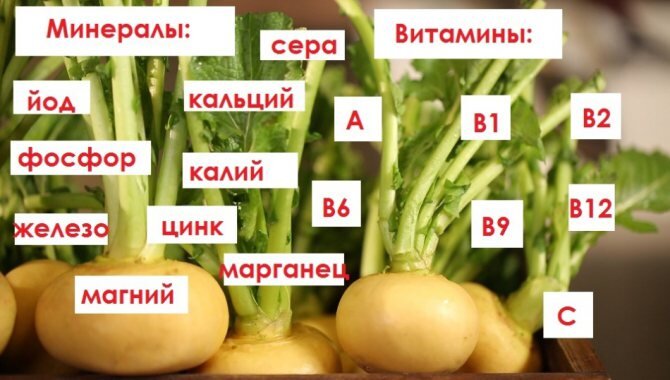 Витаминн0-минеральный состав