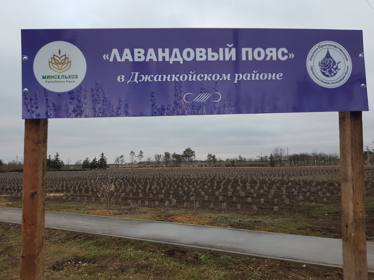 Благоустроенное село в Крыму рядом с городом. Просторный современный парк  впечатляет. Дома с газом стоят от 800 тыс. руб. | Добрый Крым. | Дзен