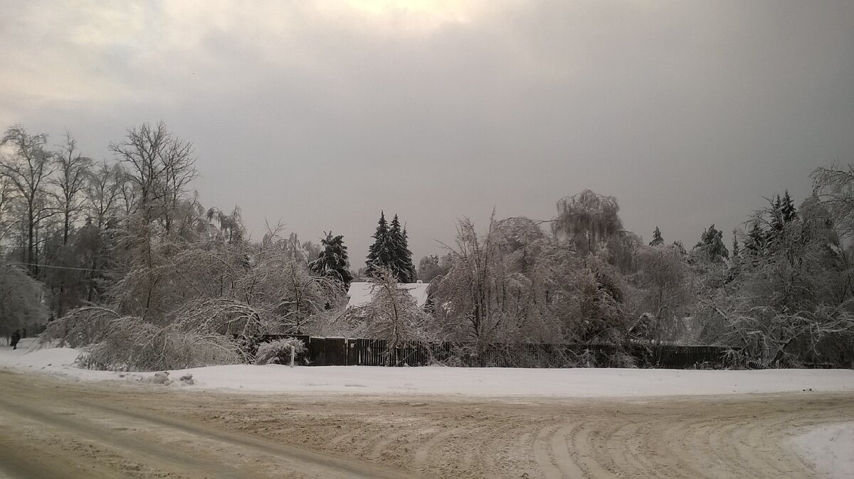 Фото автора. Развилка...