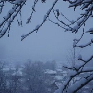 Вид поселка зимой, вид от моей калитки (фото автора)