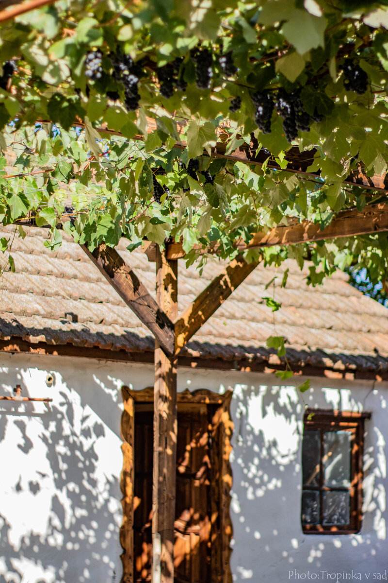 Пять советов от переехавших на землю