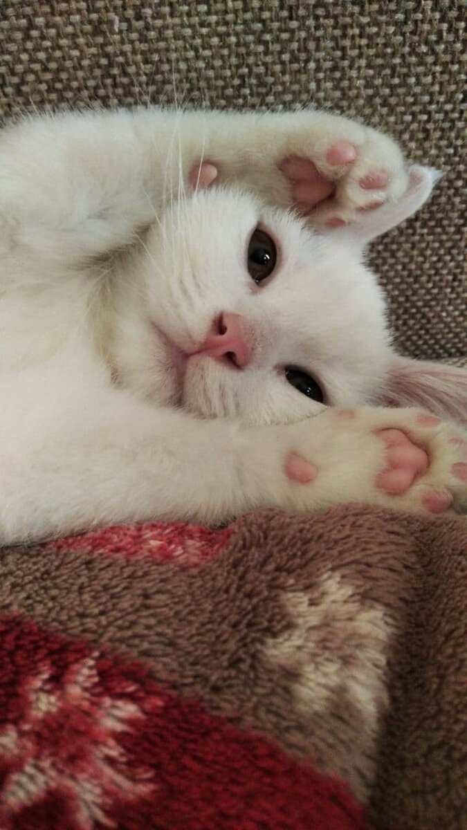 личное фото автора 