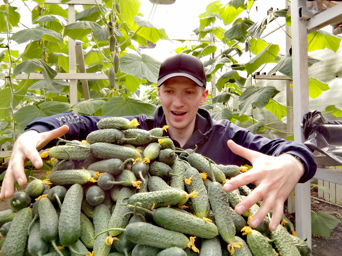 Авторское фото канал ТЕПЛИЦА-ТЕРМОС ТВ