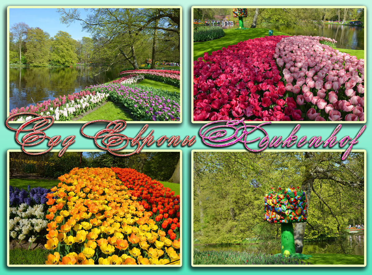 Кекенхоф ( Keukenhof ) — королевский парк цветов в Нидерландах. Также известен под названием Сад Европы (Garden of Europe).-2