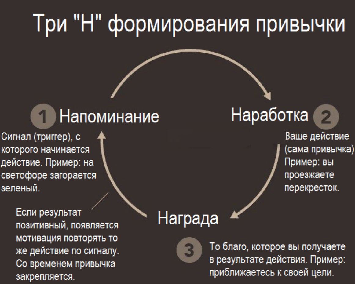 Работа называемая начало это. Этапы формирования привычки. Формирование полезных привычек. Механизм формирования привычки. Стадии формирования привычки.