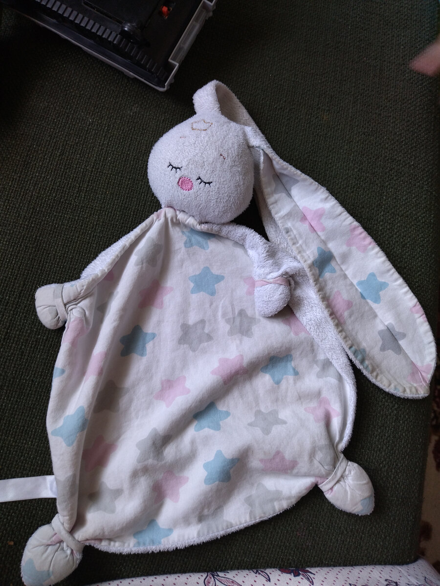 Алискина зайка