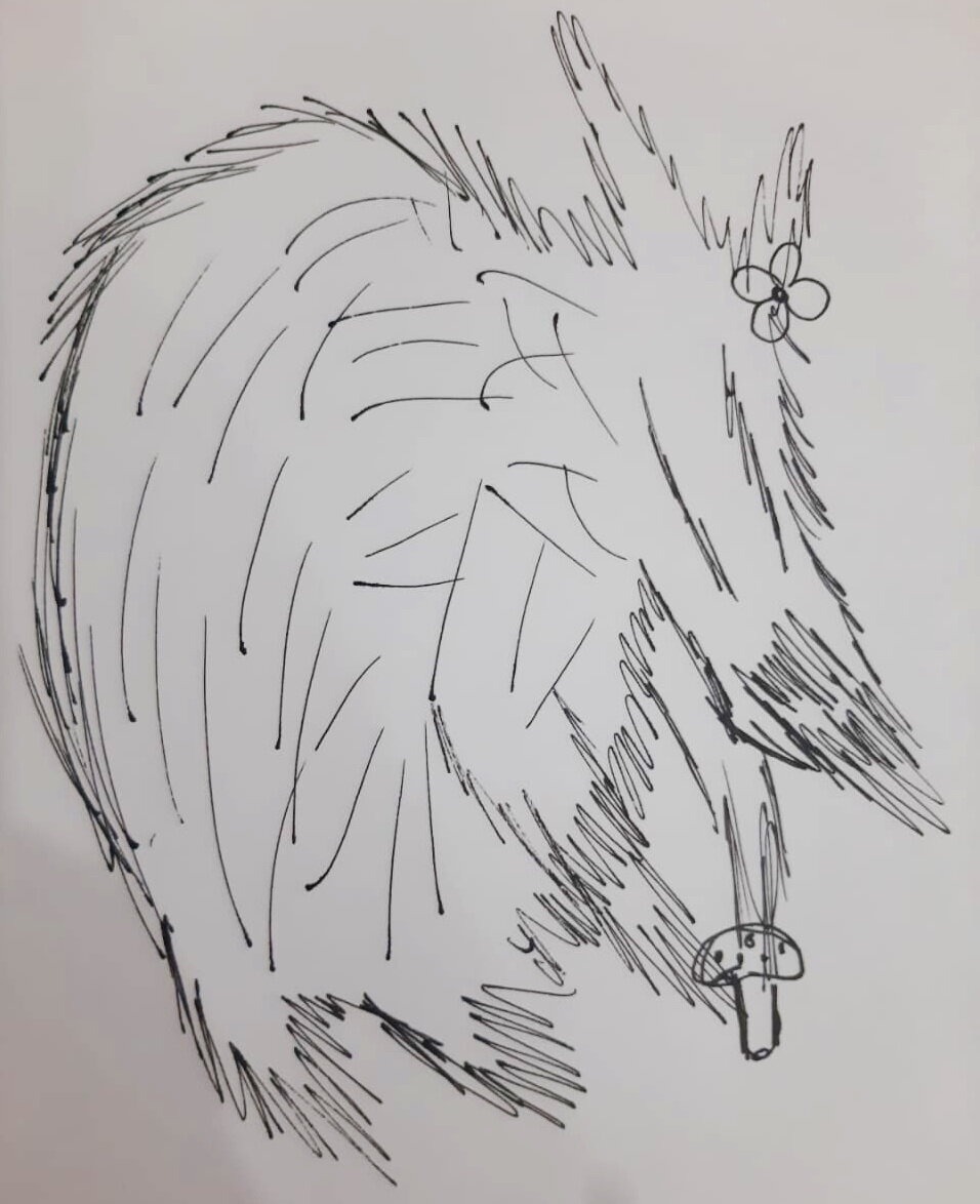 Рисунок "Несуществующее животное"  Дев, 13 л. Депрессия. 