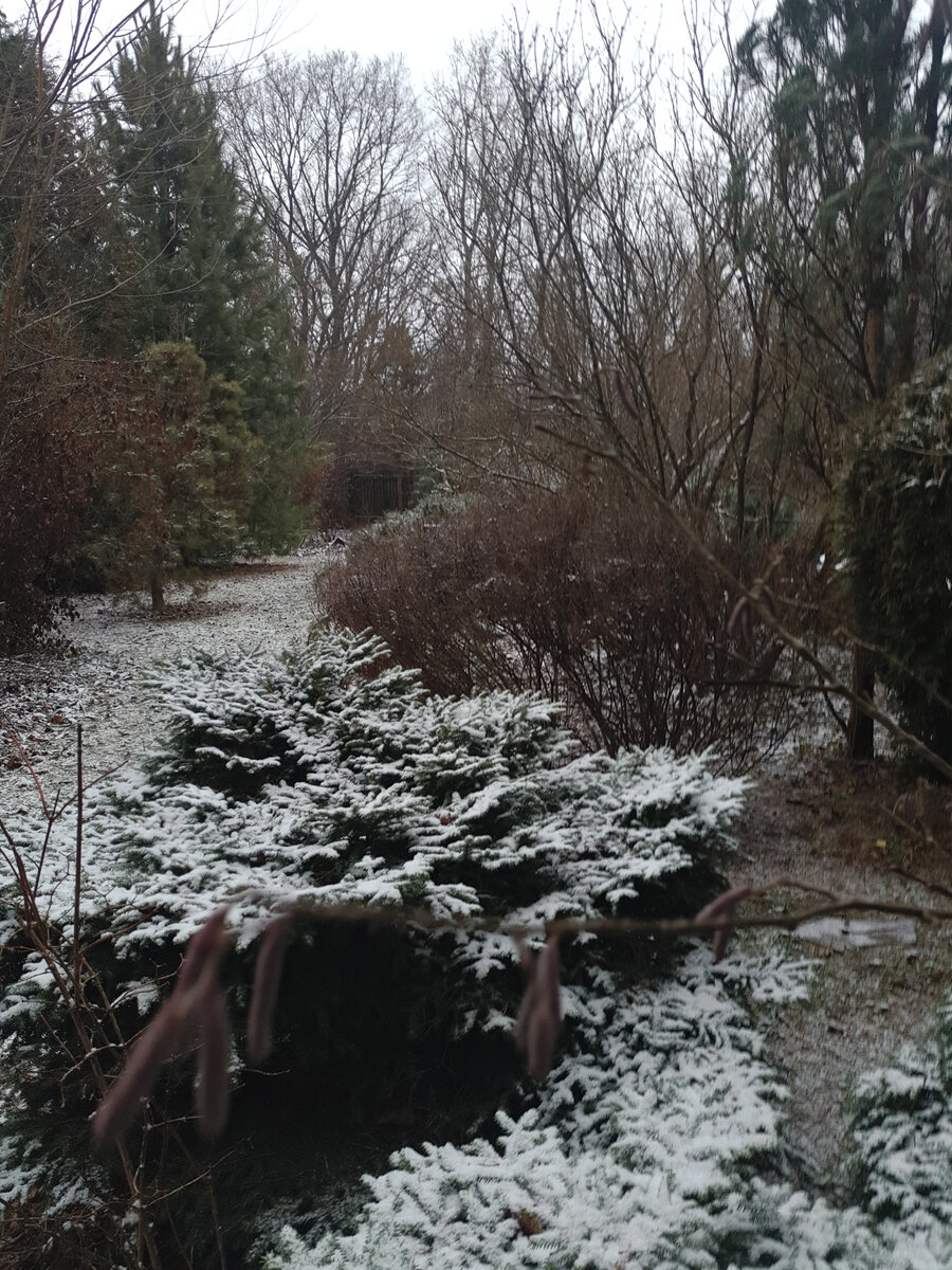 На первом плане сережки лещины, как обещание новой весны...