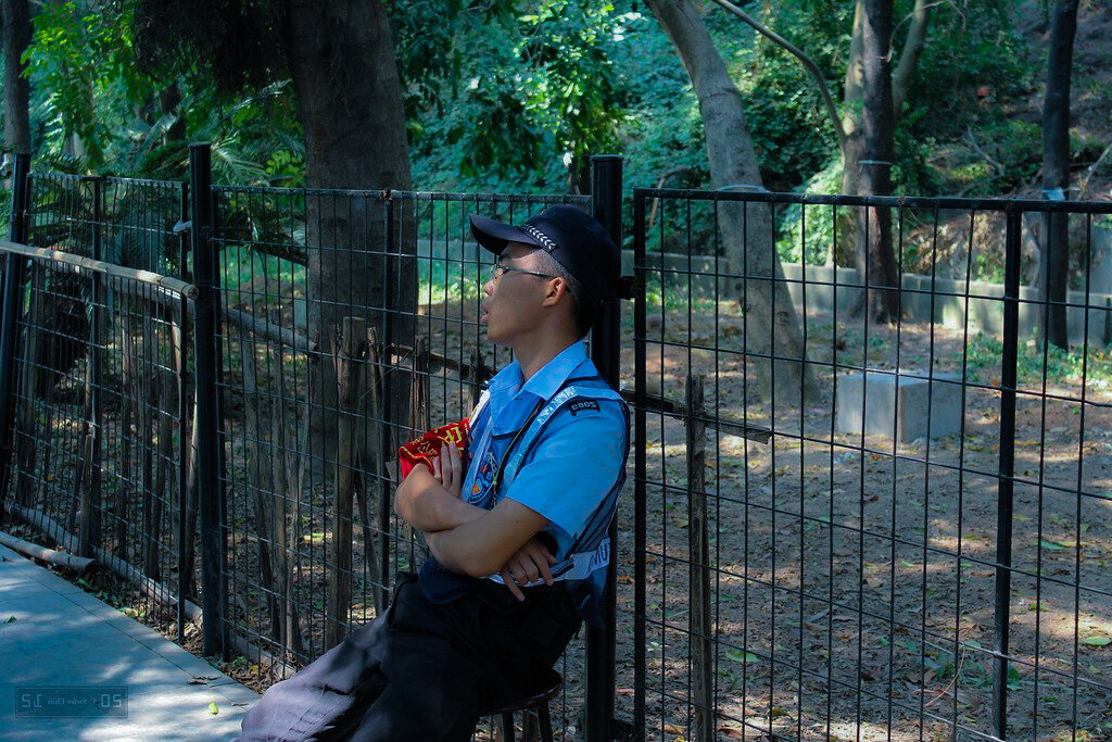 Спящий охранник парка. 